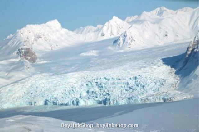 More than half of antarcticaand 039;s plants, animals could vanish due to air alter