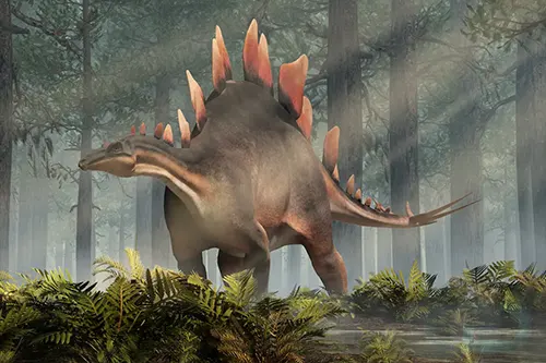 Bulk of stegosaurus readily external in novel nyc ostentation to accessible this weekend